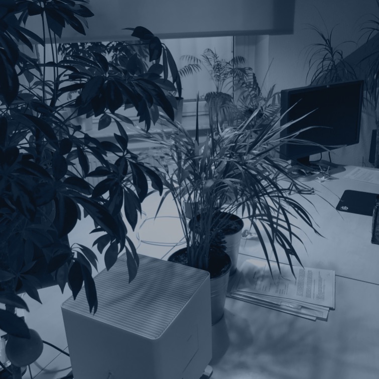 Biuro honki software house monitory2