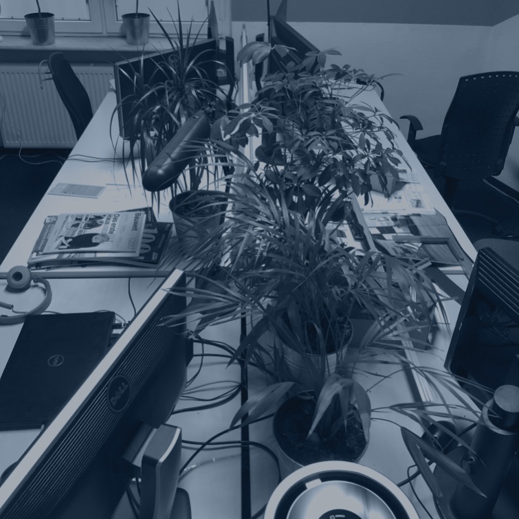 Biuro honki software house monitory